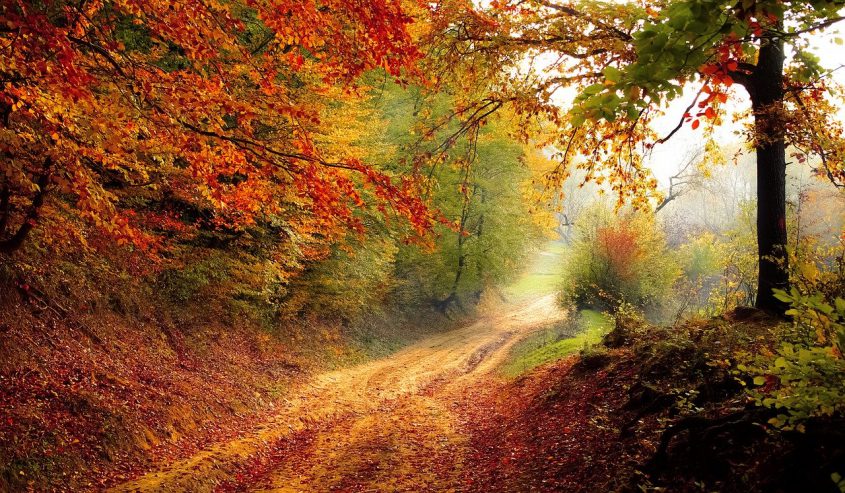 Herfstdagen